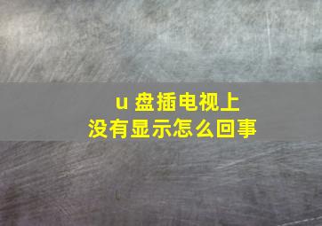 u 盘插电视上没有显示怎么回事